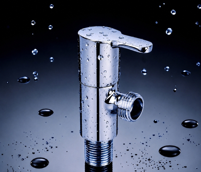 Fusion  Angle Valve